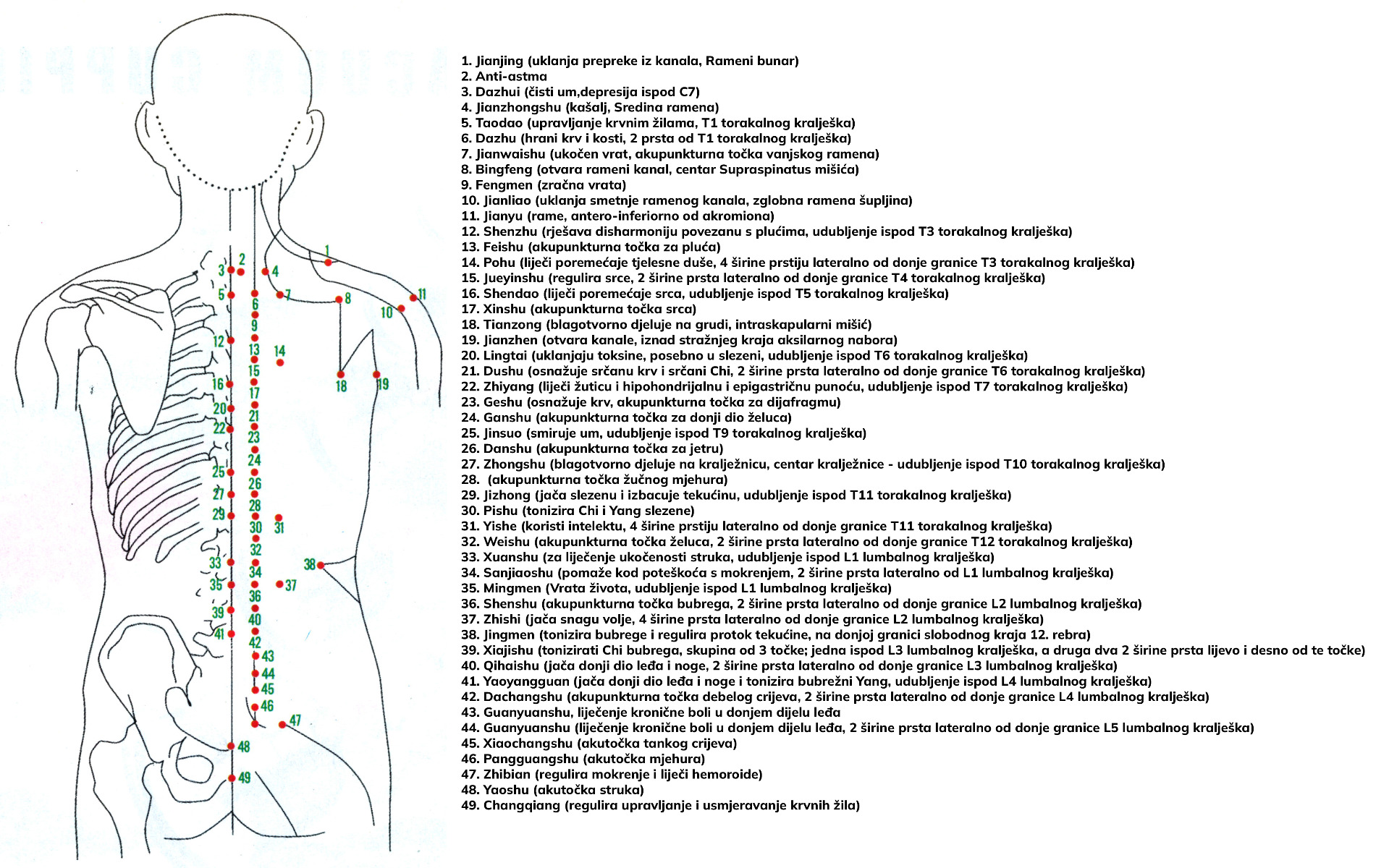 akupunkturne točke